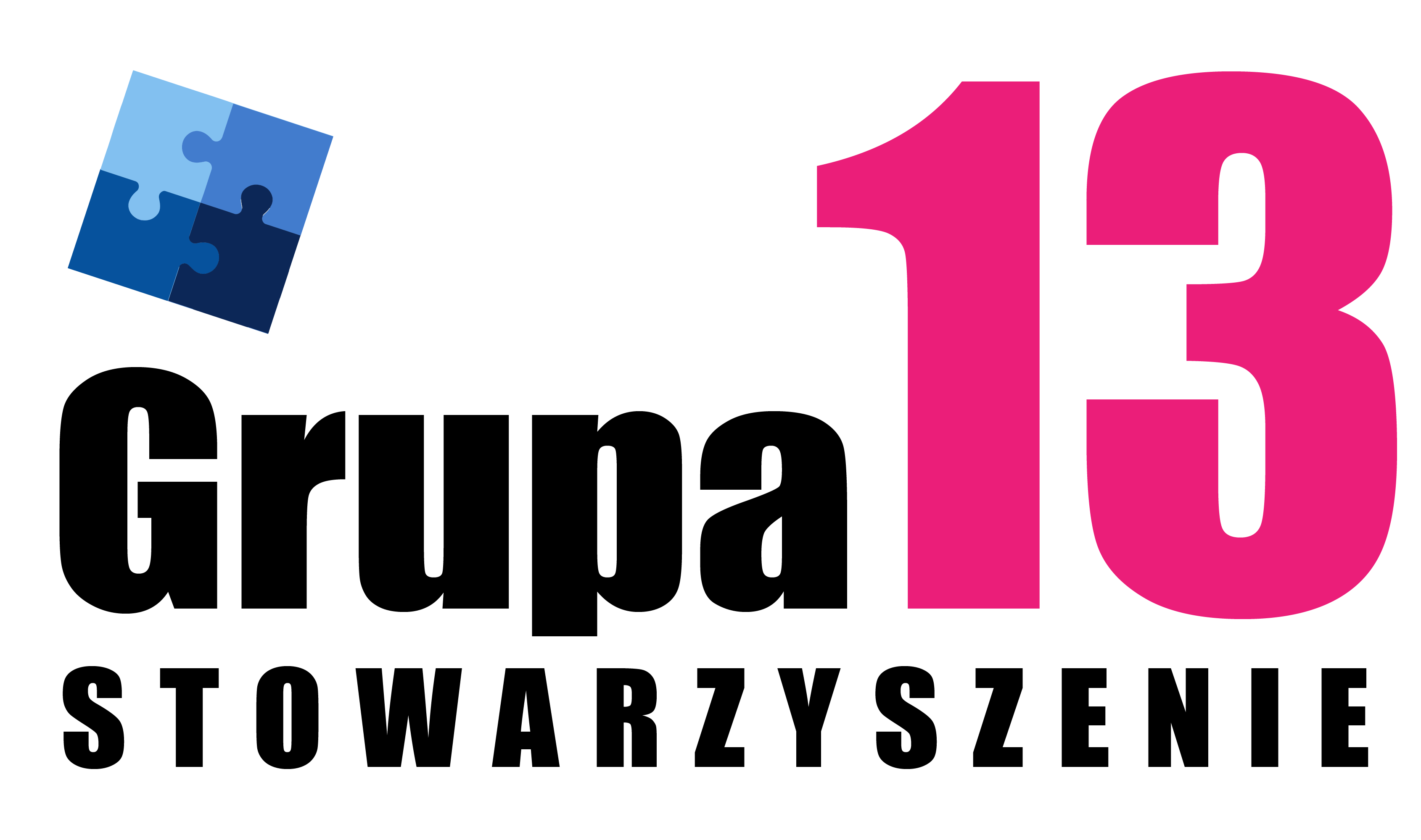 Stowarzyszenie Grupa 13